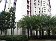 Blk 119B Kim Tian Road (Bukit Merah), HDB 5 Rooms #142532